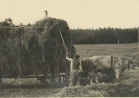 Dorf und Leute_17